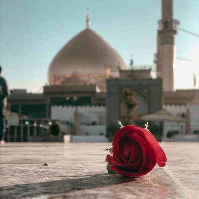  میلاد امام حسن عسکری(ع)