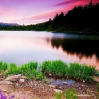 فصل دو تولید محتوا تست